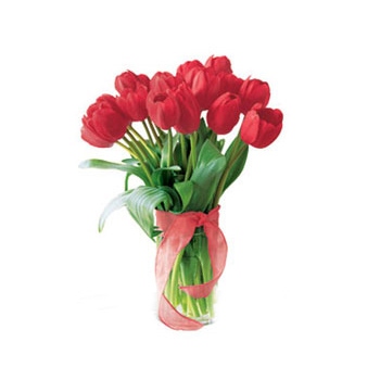 Wyślij bukiet czerwonych tulipanów do wybranej miejscowości  na Filipinach - {product_name}